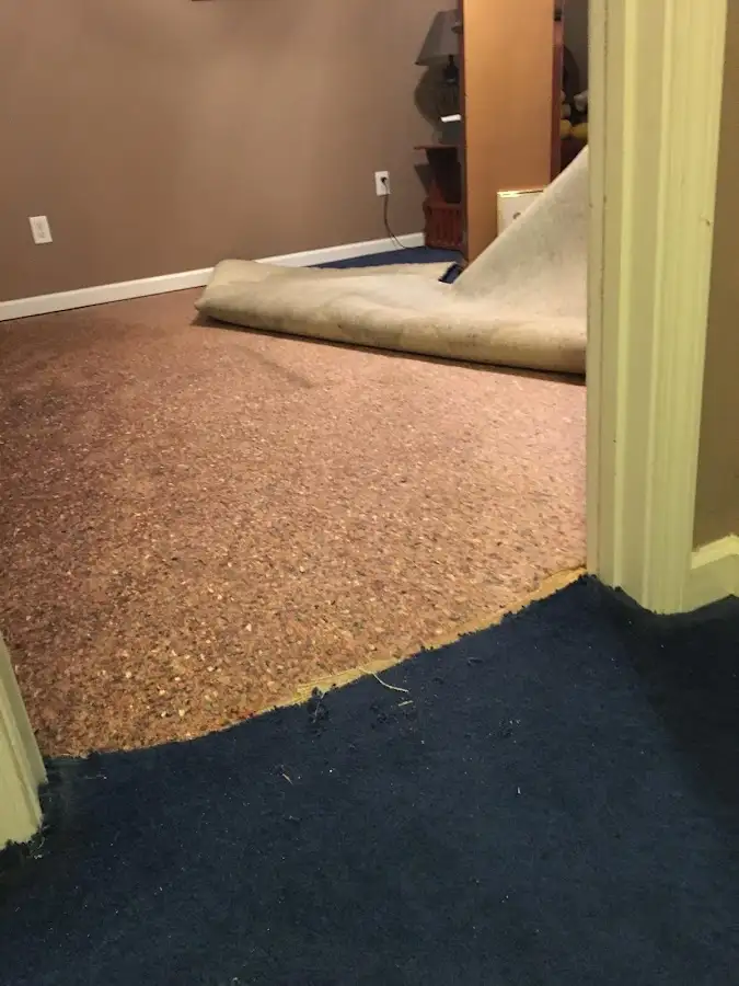 Carpet pad removal revealing water damage during Water Mitigation Services in Palmer