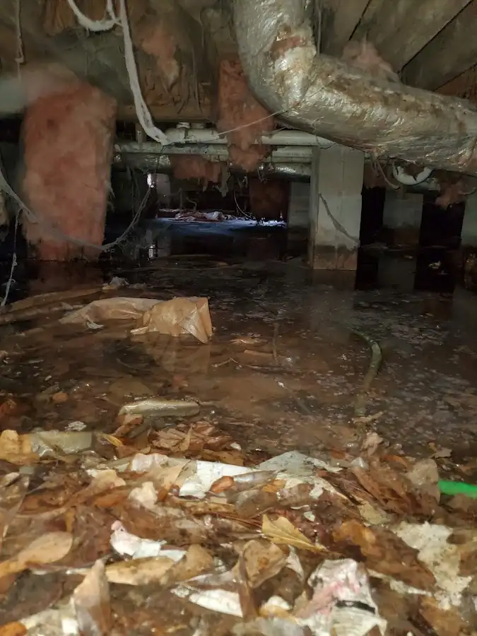 Crawl space flood assessment for Commercial Water Damage Restoration in Palmer