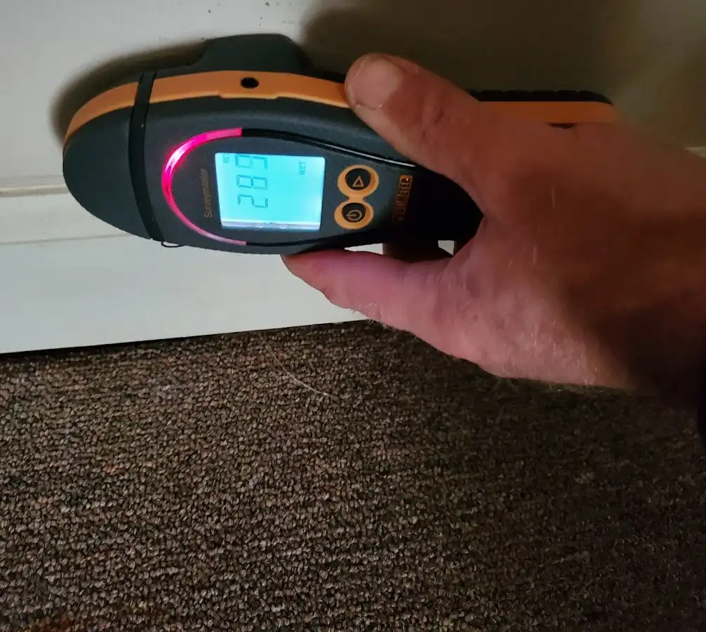 Moisture detection at baseboard during Sewage Cleanup & Sanitation in Palmer
